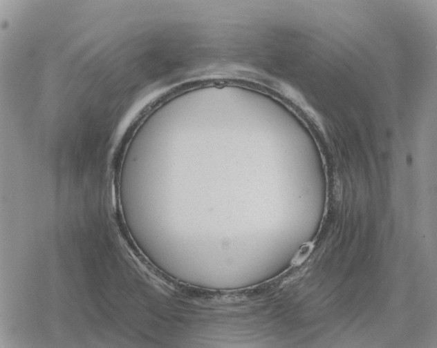 X0000078281368200611251407