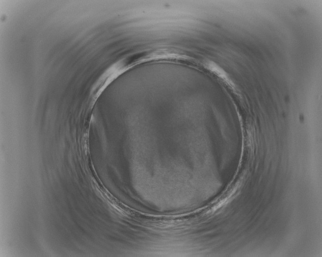 X0000078281369200611251407