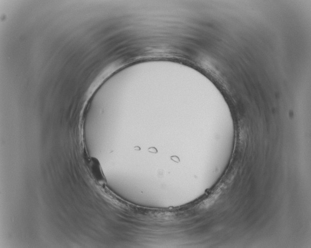 X0000078281370200611251407