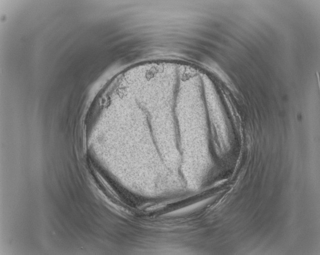 X0000078281371200611251407