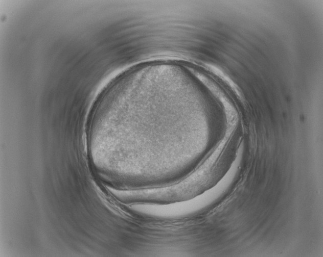 X0000078281372200611251407