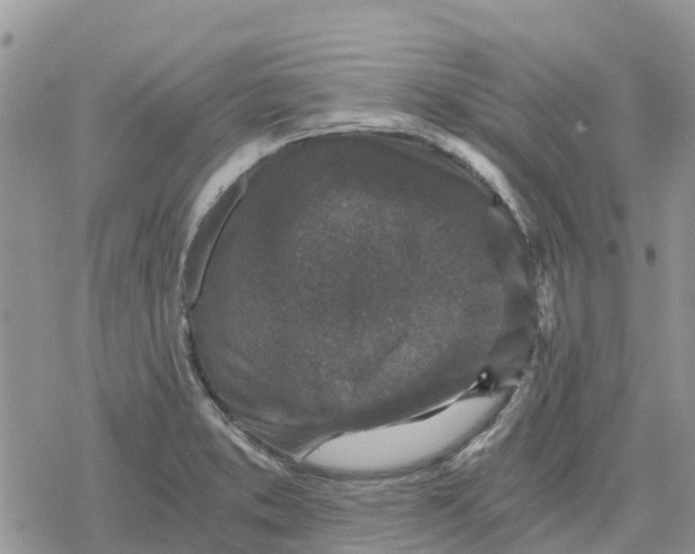 X0000078281373200611251407