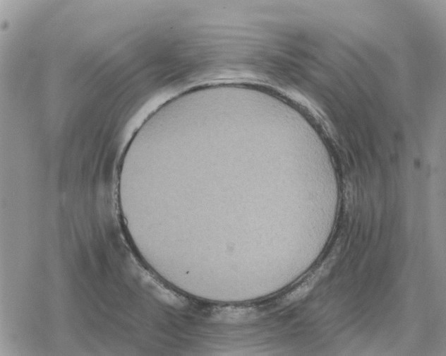 X0000078281374200611251407