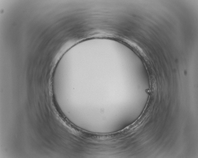 X0000078281375200611251407