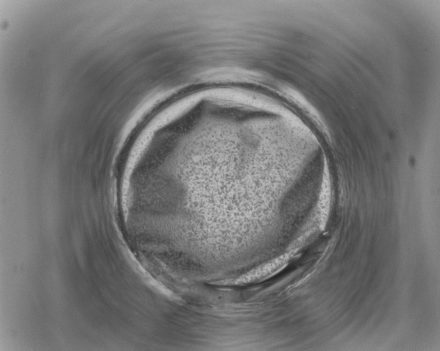 X0000078281376200611251407