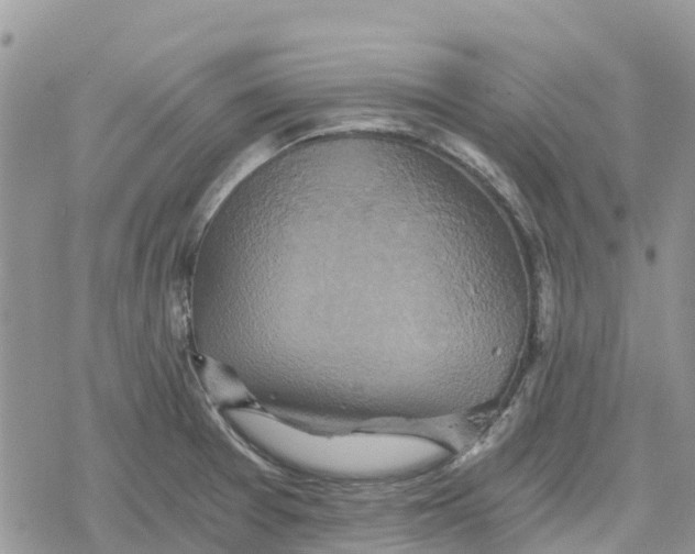 X0000078281377200611251407