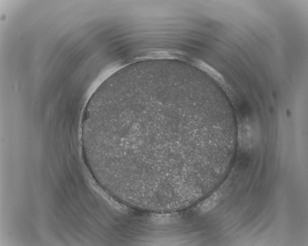 X0000078281378200611251407