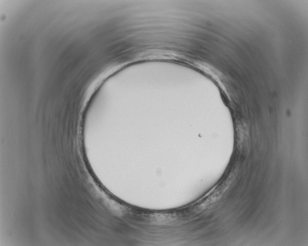 X0000078281379200611251407