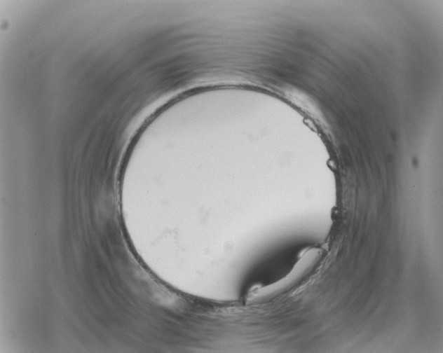 X0000078281380200611251407