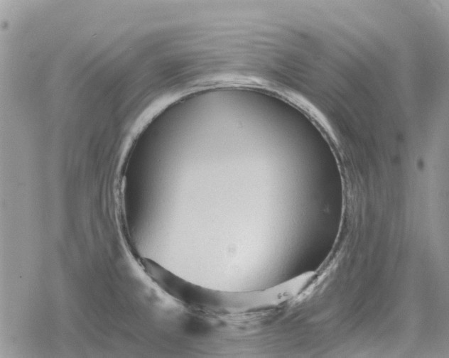 X0000078281381200611251407