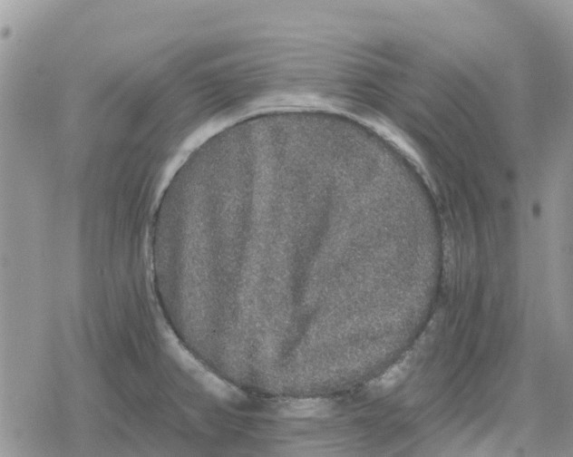 X0000078281382200611251407