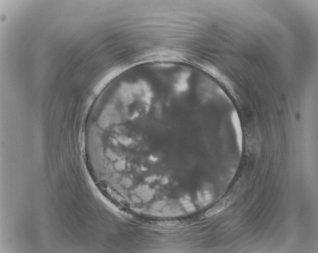 X0000078281383200611251407