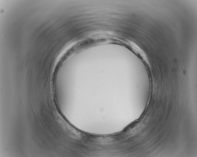 X0000078281384200611251407