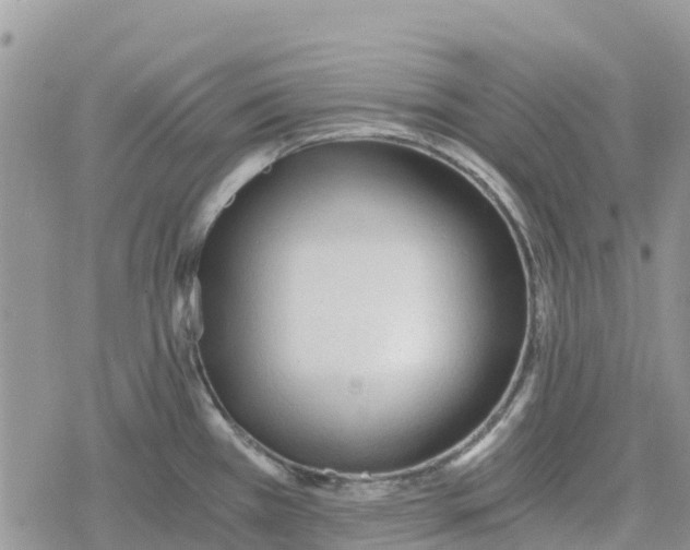 X0000078281385200611251407