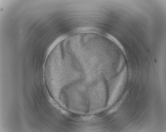 X0000078281386200611251407