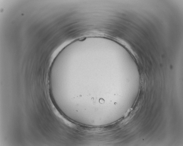 X0000078281387200611251407