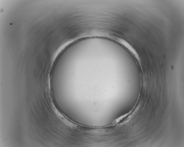 X0000078281388200611251407