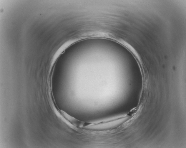 X0000078281389200611251407