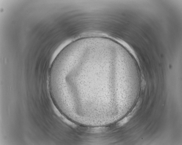 X0000078281390200611251407