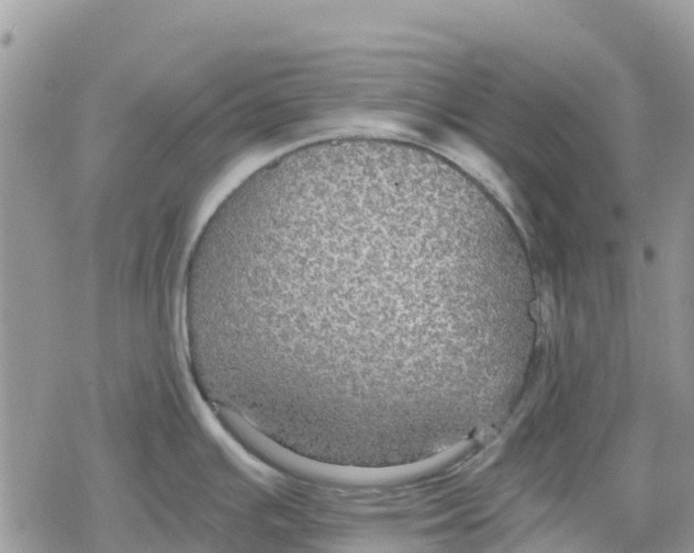 X0000078281391200611251407