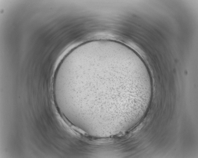 X0000078281392200611251407