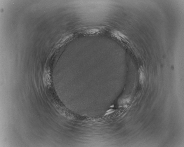 X0000078281394200611251406