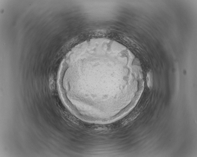 X0000078281395200611251406