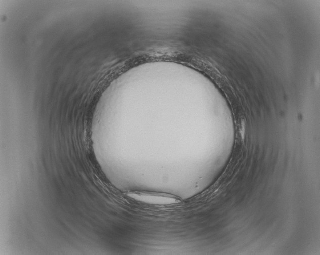 X0000078281396200611251406