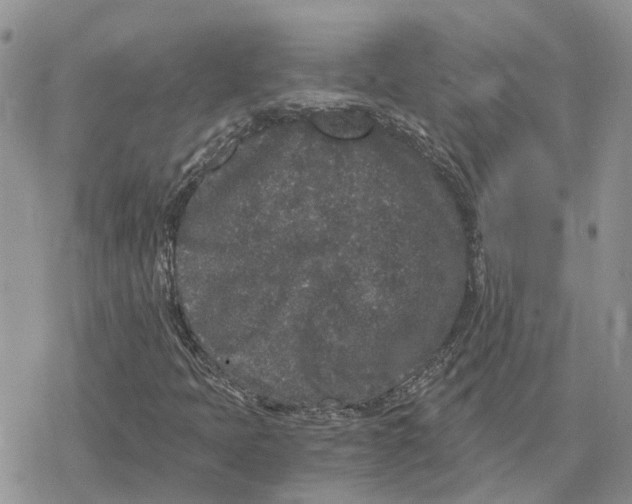 X0000078281397200611251406