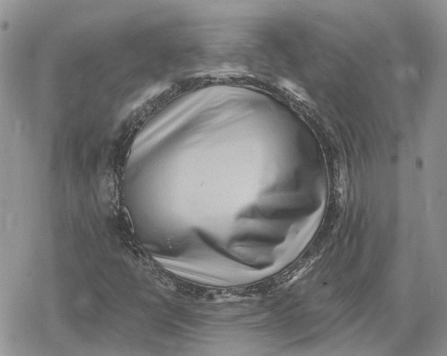 X0000078281398200611251406