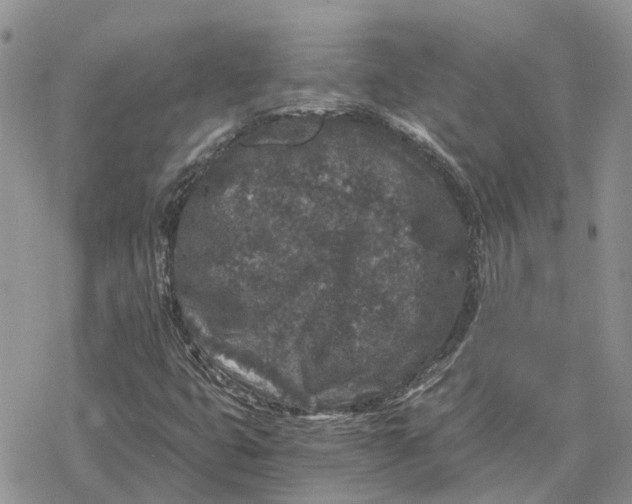 X0000078281399200611251406