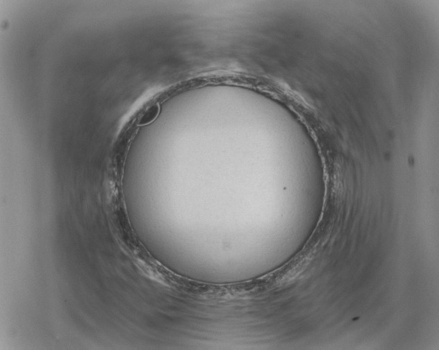 X0000078281400200611251406