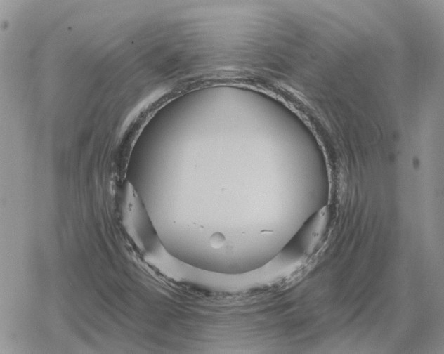 X0000078281402200611251406