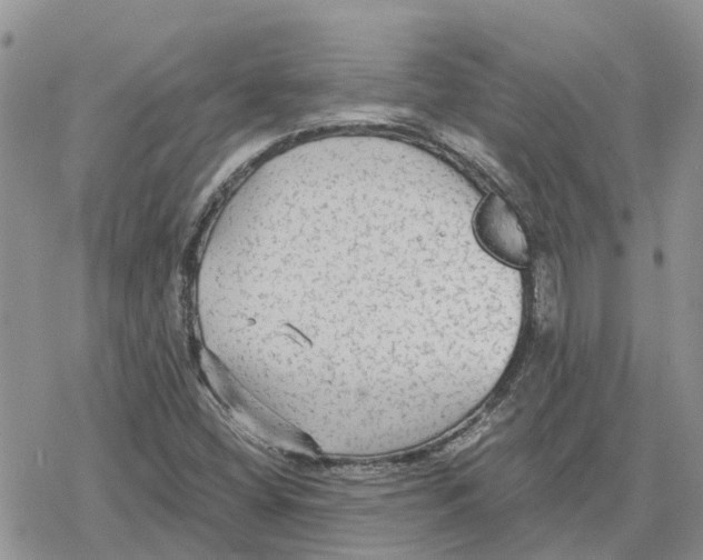 X0000078281404200611251407