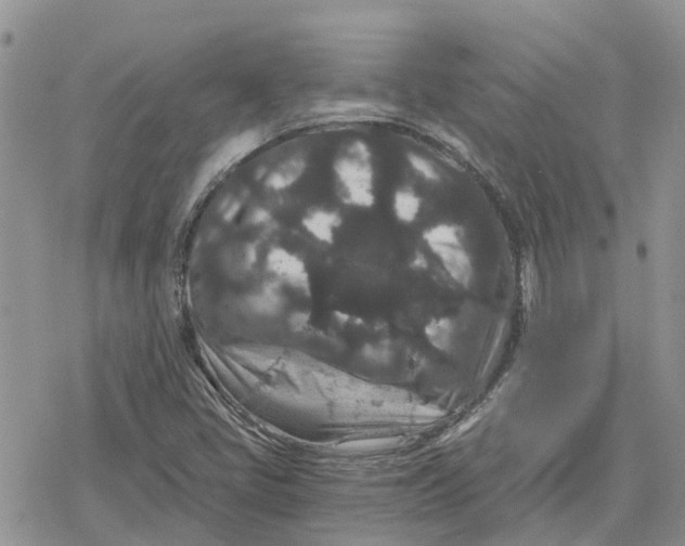 X0000078281405200611251407