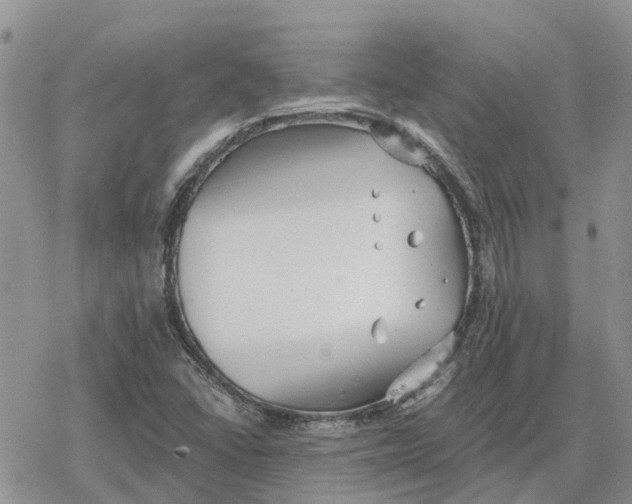 X0000078281406200611251407