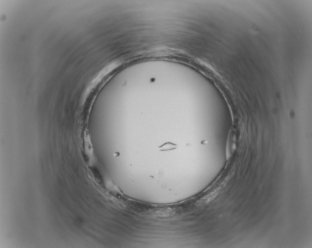 X0000078281410200611251407