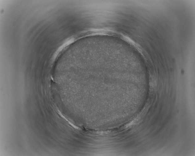 X0000078281411200611251407