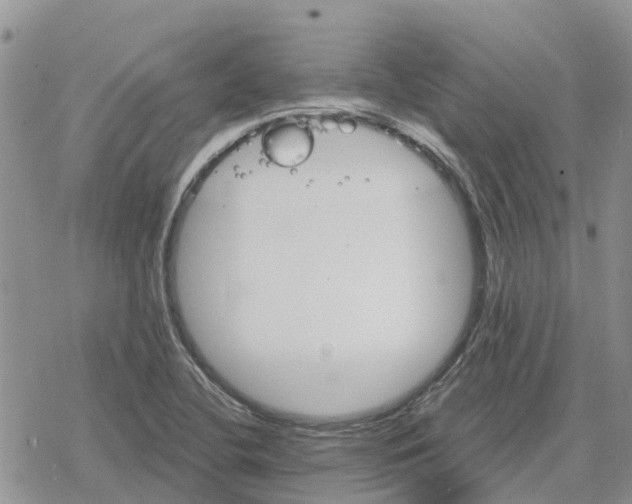 X0000078281412200611251407