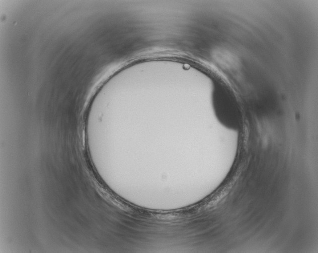 X0000078281413200611251407