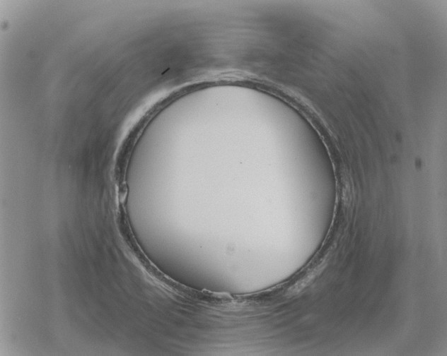 X0000078281414200611251407