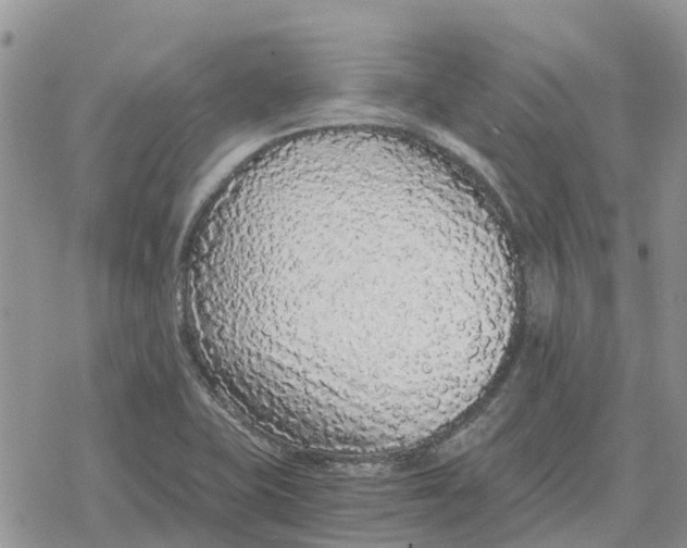 X0000078281415200611251407