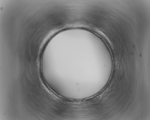 X0000078281416200611251407