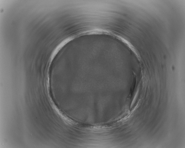 X0000078281418200611251407