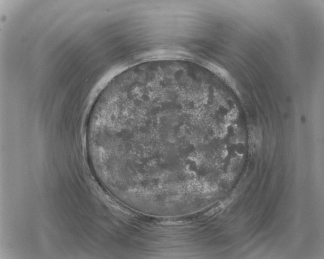 X0000078281419200611251407