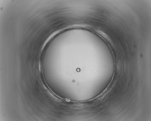 X0000078281420200611251407