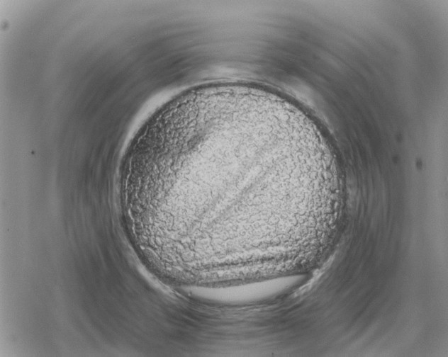 X0000078281421200611251407