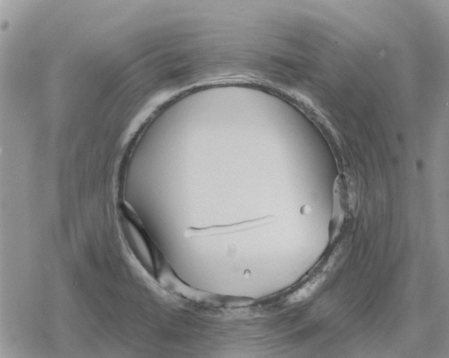 X0000078281422200611251407