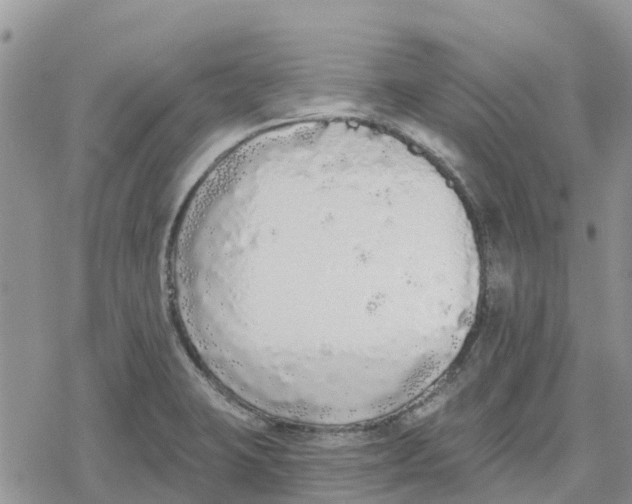 X0000078281423200611251407