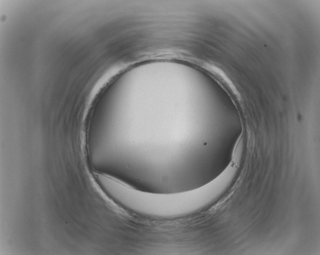 X0000078281424200611251407